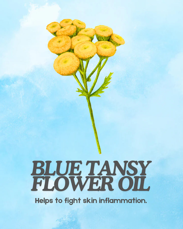 Blue Tansy Beard & Face Oil